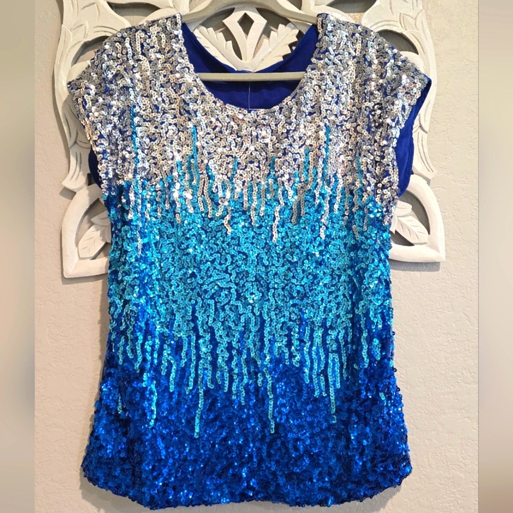 NWT Blue Ombre Sequin Top - L